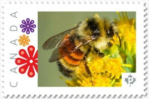 BEE, HONEYBEE = Picture Postage stamp MNH Canada 2018 [p18-01sn17]