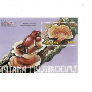 Guyana - 2000 - Mushrooms - Souvenir Sheet - MNH