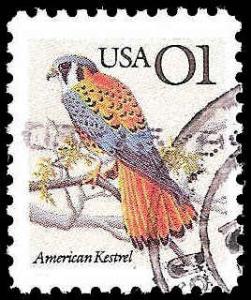 # 2476 USED KESTREL