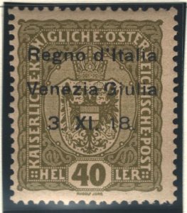 Austria Sc#N10 MH - collectors mark reverse