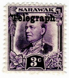 (I.B) Sarawak Telegraphs : Overprint 3c