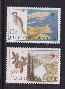 Yugoslavia   #1584-1585  MNH  1982  spruce and monk seal