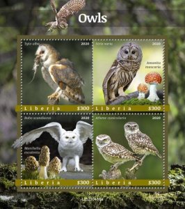 Liberia - 2020 Owls, Barn, Snowy, Burrowing - 4 Stamp Sheet - LIB200416a