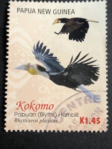 2016 PNG Papua New Guinea Papuan Hornbill Kokomo