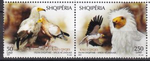 Albania, Fauna, Birds MNH / 2021