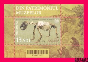 MOLDOVA 2024 History Archeology Museum Exhibits Cave Bear Skeleton Paleontology