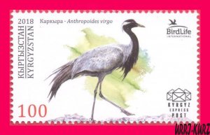 KYRGYZSTAN 2018 Nature Fauna Birds Crane (Anthropoides virgo) 1v Mi KEP 96 MNH