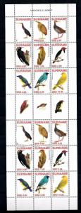 [SUV1458] Surinam Suriname 2007 Birds Vögel Oiseaux Miniature Sheet with tab MNH