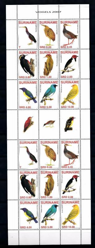 [SUV1458] Surinam Suriname 2007 Birds Vögel Oiseaux Miniature Sheet with tab MNH