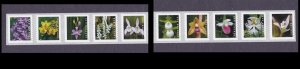 US Scott #5435-5444, 5444a Two Strips of 5 55c Wild Orchids (10 diff Stamps) 