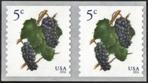 SC#5038 5¢ Grapes Coil Pair (2016) SA