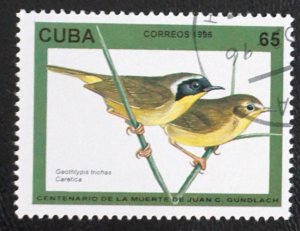 CUBA Sc# 3733  JUAN GUNDLACH BIRDS 65c   1996  used cto