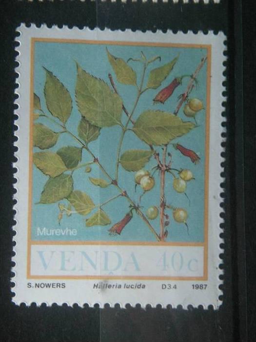 VENDA, 1987, MNH 40c, Food of the Veld, Scott 175 CV 1.00