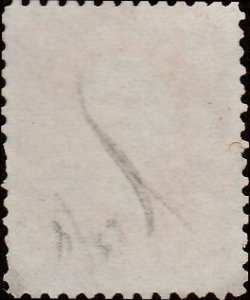 # 65 Bright Rose Used George Washington