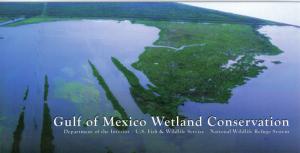 Gulf of Mexico Wetland Conservation FDS. #02 GMWCRW77