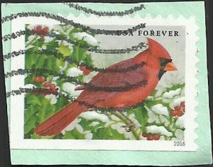 # 5128 Used Songbirds in Snow 