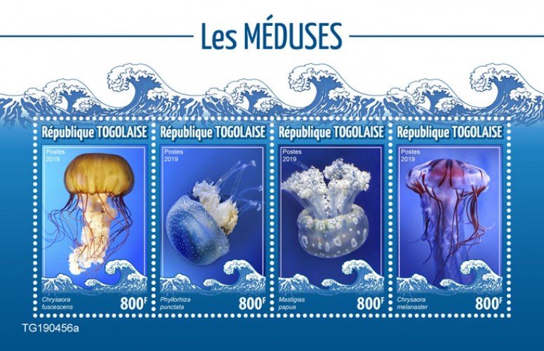 Togo Stamps 2019. - Jellyfish (Chrysaora fuscescens; Phyllorhiza punctata; Masti