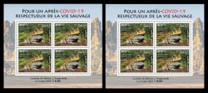 DJIBOUTI 2023 SHEET 4V (REG & ORIGINAL PACKAGING) - FROGS FROG FROGS - PANDEMIC - MNH-