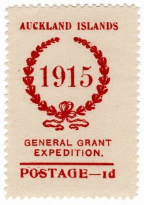 (I.B) New Zealand Cinderella : General Grant Salvage Expedition 1d (1915)