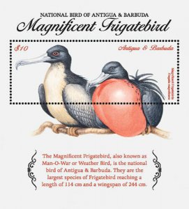 Antigua 2018 - Magnificent Frigatebird - National bird souvenir stamp - MNH