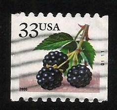 USA #3406  PNC #G1111