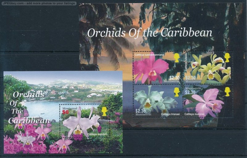 [121687] Montserrat 2005 Flora flowers blumen Orchids Set incl. sheet MNH