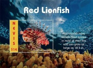 Nevis 2019 - Red Lionfish - Souvenir stamp sheet - Scott #1990 - MNH