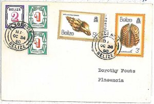 28687 - BELIZE - Postal History  REVENUE  STAMPS on COVER Placencia 1980 SHELLS