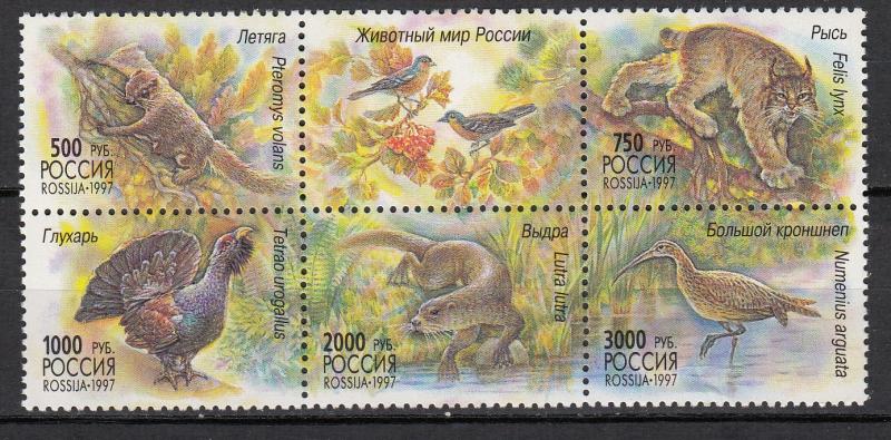 Soviet Union - 1997 Wildlife S/s Sc# 6397 - MNH (1844)