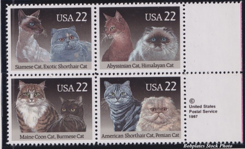 BOBPLATES #2372-5 Cats Copyright Block of 4 MNH ~ See Details for Positions