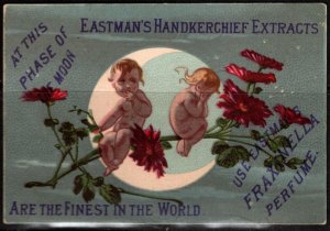 1880 Victorian Trade Card Eastman's Handkerchief Extracts Finest In The ...
