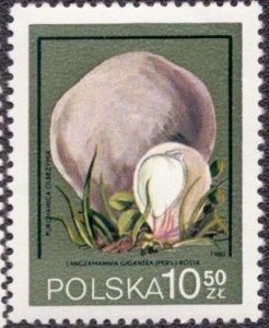 Poland 2402 1980 MNH