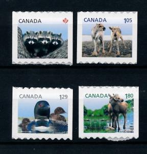 [39418] Canada 2012 Young Animals Duck Moose Racoon Self Adhesive MNH