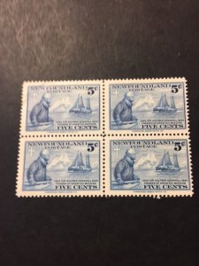 Newfoundland sc 252 MH block of 4