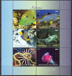 Congo 2011 Marine Life Fishes I Sheet MNH** Cinderella !