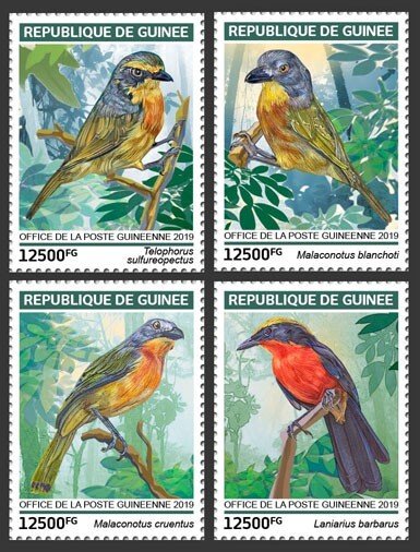 GUINEA - 2019 - Bushshrikes - Perf 4v Set - Mint Never Hinged