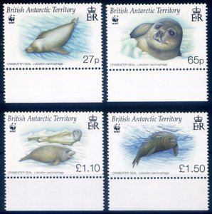 Marine fauna. 2009 WWF.