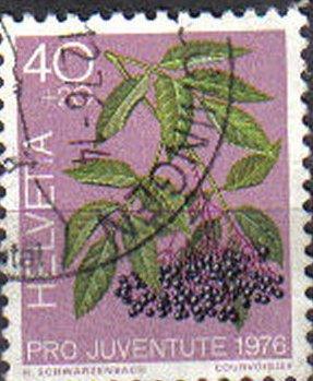 SWITZERLAND, 1976, used 40c. , Flowers