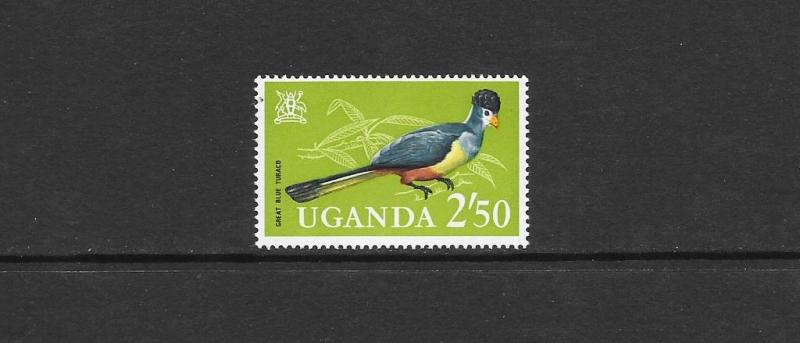 BIRDS - UGANDA-GREAT BLUE TURACO  #107