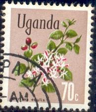 Flower, Carissa Edulis, Uganda stamp SC#123 used