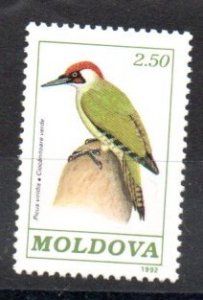 MOLDOVA - 1992 - BIRDS - 2.50 - PICUS VERIDIS -