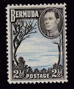 Bermuda #120A Unused