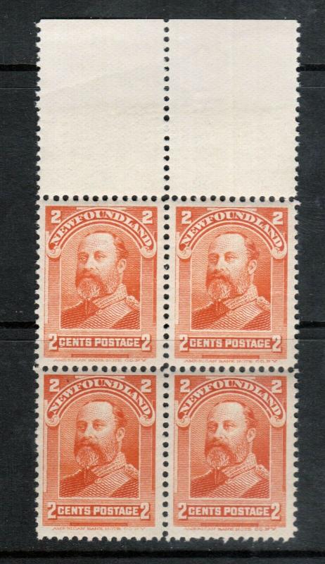 Newfoundland #81 Very Fine Never Hinged Block