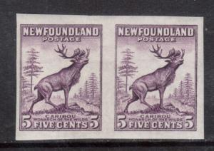 Newfoundland #190a XF/NH Imperforate Pair