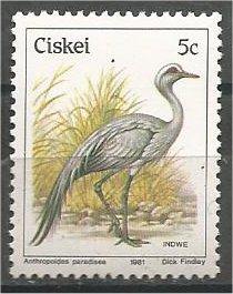 CISKEI, 1981, MNH 5c, Birds, Scott 9