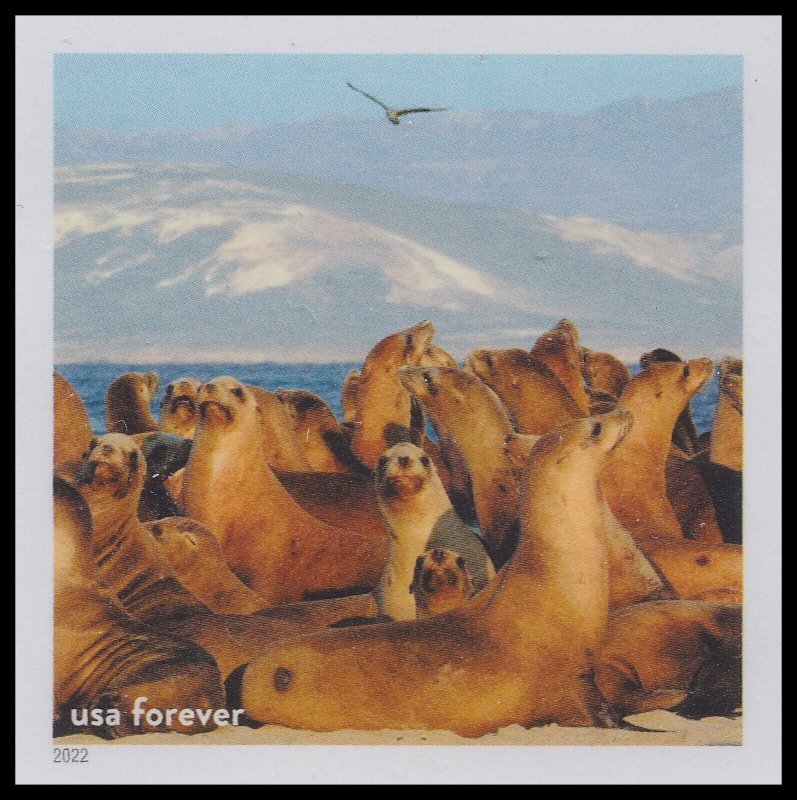 US 5713ad National Marine Sanctuaries Sea Lions imperf NDC single MNH