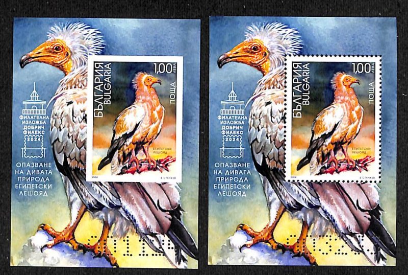 Bulgaria 2024, egyptian vulture 2 s/s (perforated &imperforated)