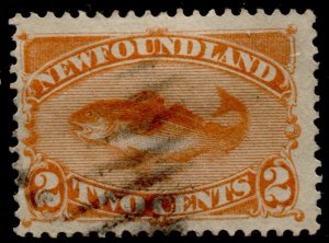 Canada - Newfoundland #48 Codfish Used