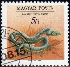 Hungary 3192 - Cto - 5fo Grass Snake (1989) (cv $0.40) (1) +