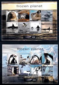 [66866] British Antarctic Territory 2011 Marine Life Seals Whales Penguins  MNH